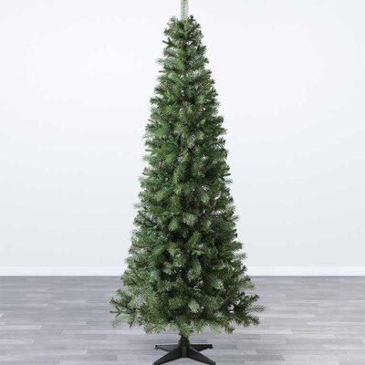 Novogodišnja jelka visine 210cm Evergreen Kingston Fir