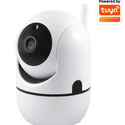 Bežična IP Wi-Fi Smart kamera sa funkcijom audio komunikacije WFIP-5390T