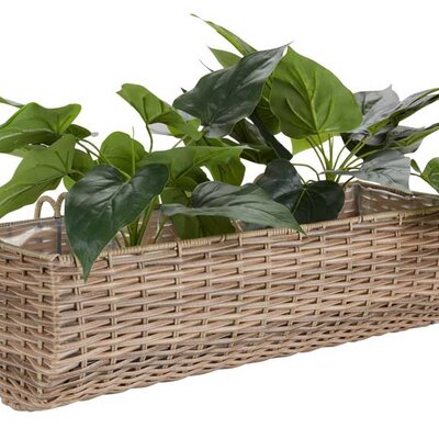 Balkonska saksija 50cm