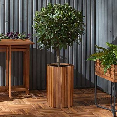 Visoka saksija za cveće od drveta bagrema V50cm