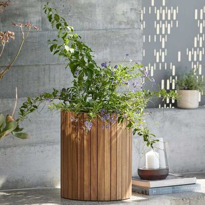 Visoka saksija za cveće od drveta bagrema V43cm