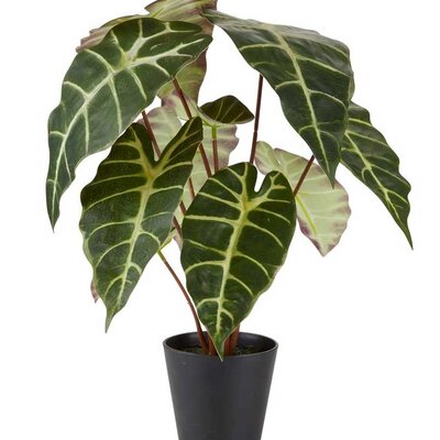Veštačka biljka Alokasija 42cm