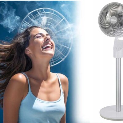 Podni ventilator sa daljinskim upravljačem i tajmerom Zilan ZLN1016