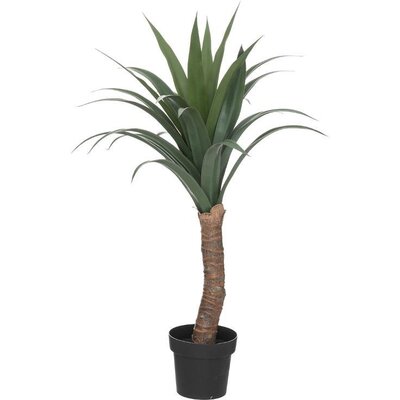 Atmosphera Dekorativna Biljka Yucca Palma