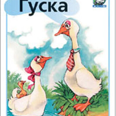 Žapče (o životinjama) - Guska