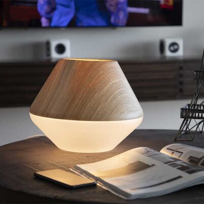 Stona LED lampa DesignNest LightShade Tulip 10412GW/EULSTD