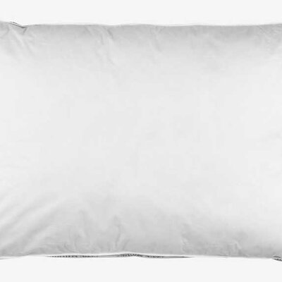 Perjani jastuk sa pačjim perjem 50x70x15cm