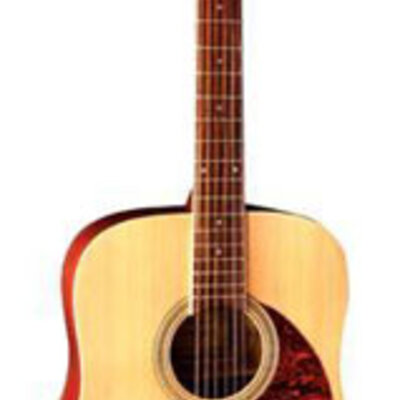 Tenson akustična gitara D10 natural F501.310