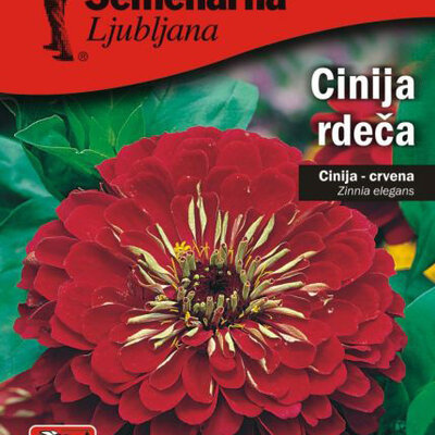 Cveće 5 kesica Lepi čovek - Cinija - crvena - Zinnia elegans 5973