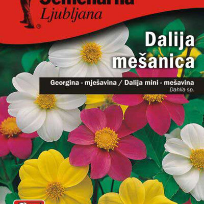 Seme za cveće Dalija - Georgina - mešavina - Dahlia sp. 5 kesica 3045