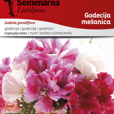 Seme za cveće 10 kesica Godecija mešavina - Godetia grandiflora 3540