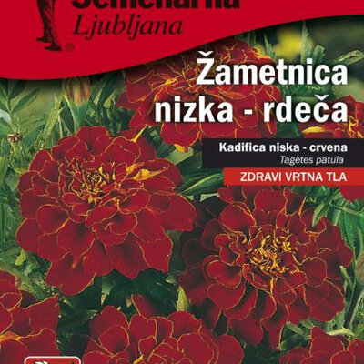 Seme za sadnju 10 kesica - cveće Kadifa niska - crvena -  Tagetes patula 5438