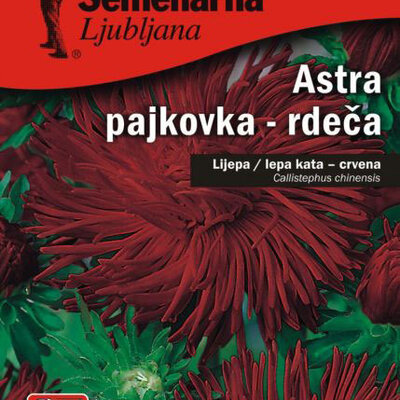 Seme 5 kesica Lepa Kata igličasta - crvena - Callistephus chinensis spider 2262