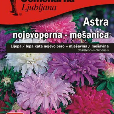 Seme 10 kesica Lepa Kata Nojevo pero - mešavina - Callistephus chinensis 2362