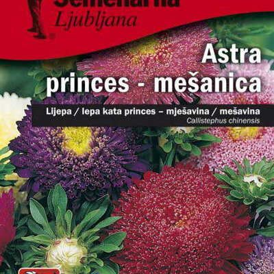Seme 5 kesica Lepa Kata Princes - mešavina - Callistephus chinensis 2404