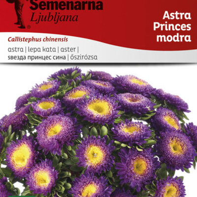 Seme 5 kesica Lepa Kata Princes - plava - Callistephus chinensis 2275