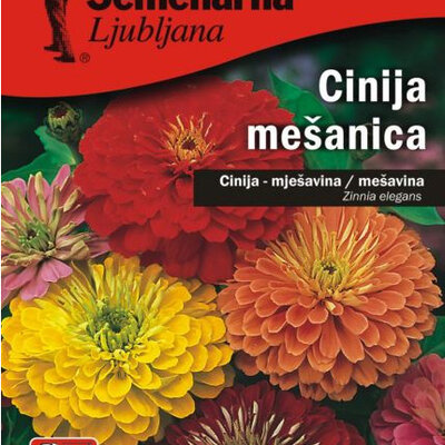 Baštensko cveće Lepi čovek - mešavina - Zinnia elegans 5 kesica 5971