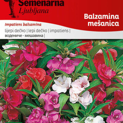 Seme 10 kesica za cveće Lepi dečko - mešavina - Impatiens balsamina 2440