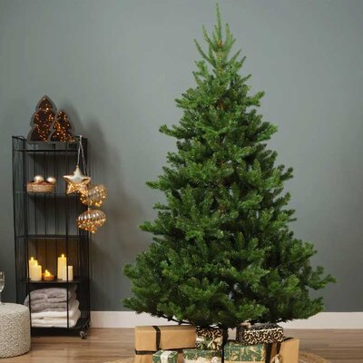 Novogodišnja jelka Everlands Alba fir 150cm 68.4464