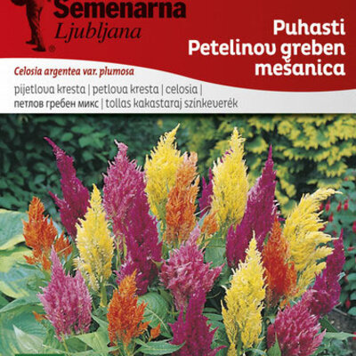 Cveće Petlova kresta paperjasta - mešavina - seme 10 kesica Celosia argentea var. plumosa 2743