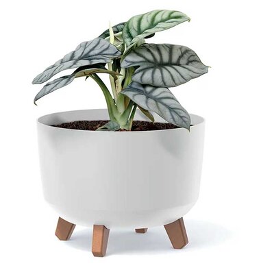 Saksija Prosperplast Gracia 24x19 sa nogarima