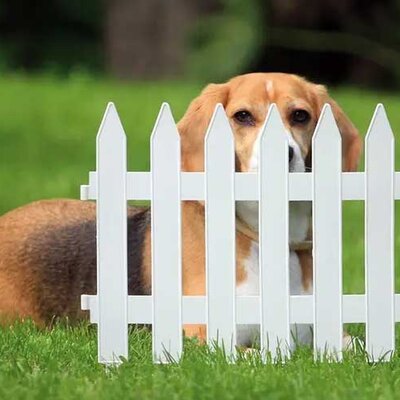 Prosperplast Modularna baštenska ograda 3.2m V35cm Bela