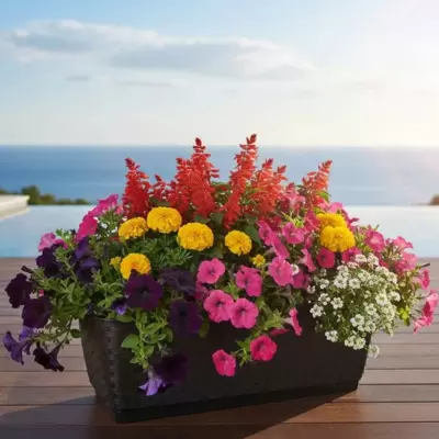 Žardinjera za cveće Ratan Look 40cm Antracit