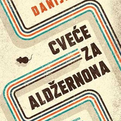 Cveće za Aldžernona, Danijel Kiz