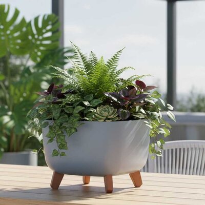 Saksija sa nogarima Prosperplast Gracia Svetlo siva 24x24x19cm