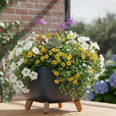 Saksija sa nogarima Prosperplast Gracia Antracit 24x24x19cm