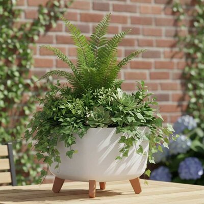 Saksija sa nogarima Prosperplast Gracia Bela 24x24x19cm