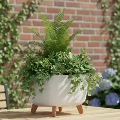 Saksija sa nogarima Prosperplast Gracia Bela 24x24x19cm