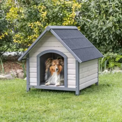 VELIČINA M ZA SREDNJE RASE PASA