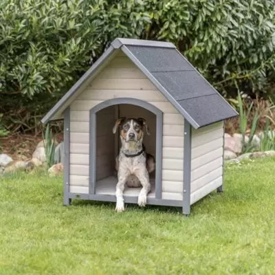 DVORIŠNE KUĆICE ZA PSE