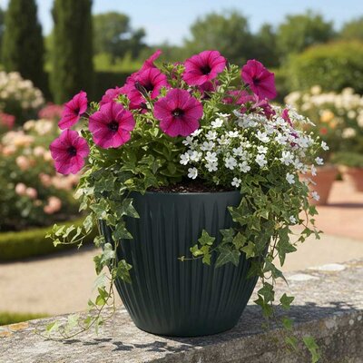 Saksija za cveće Prosperplast Latia 30x25cm Antracit
