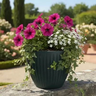 Saksija za cveće Prosperplast Latia 30x25cm Antracit