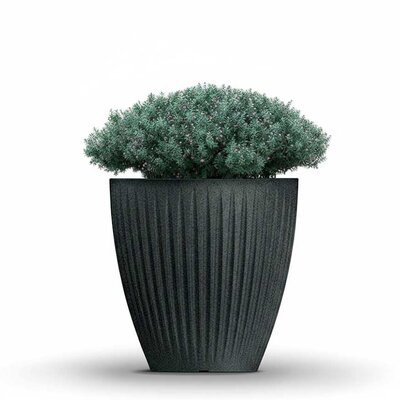 Saksija za cveće Prosperplast Latia 40cm Antracit