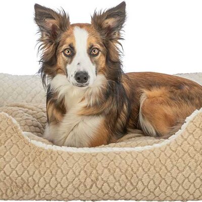 Krevet za male pse Kaline Mio brown 65x50cm Trixie 389716