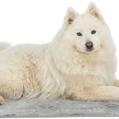 Prostirka za pse 110x70cm Jimmy grey Trixie 377132