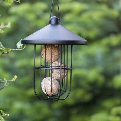 Hranilica za ptice za masne knedle 24cm Fenjer crna Trixie 55652