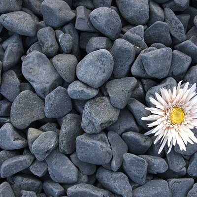 Dekorativni kamen 3-6cm Crni oblutak 25kg