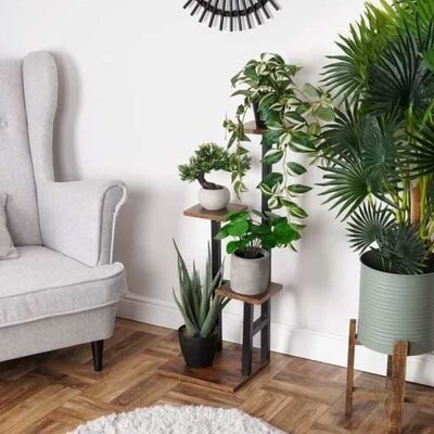 Vilde Stalak za cveće sa 4 nivoa 569822