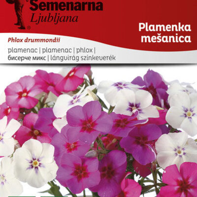 Seme za cveće Plamenac mešavina - Phlox drummondii 10 kesica 4710