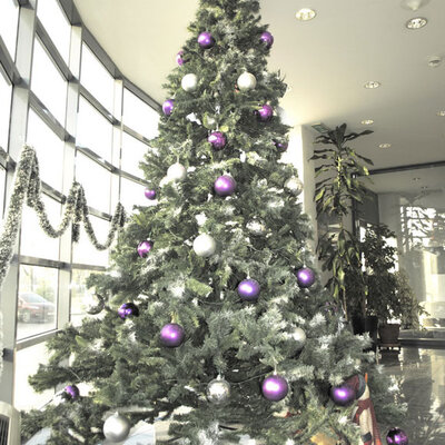 Novogodišnja Jelka Za Velike Prostore 41-435