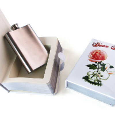 SuckUK skrivena pljoska Dragi dnevniče 