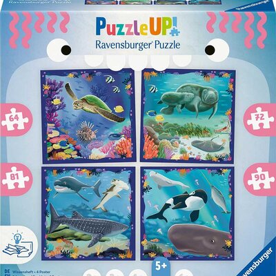 MORE PUZZLE