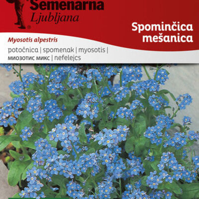 Cveće Spomenak - mešavina - seme Myosotis alpestris 10 kesica 4359