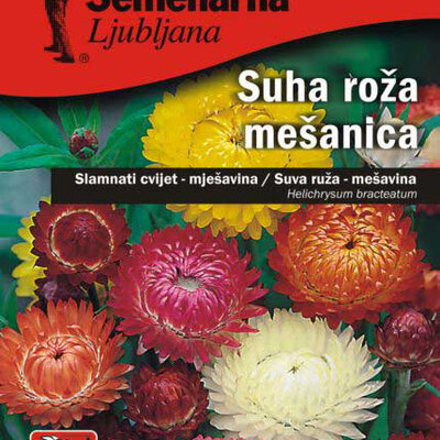 Seme za cveće 10 kesica Suva ruža - mešavina - Helichrysum bracteatum 3720