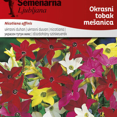 Seme za cveće 5 kesica Ukrasni duvan - mešavina - Nicotiana affinis 4396