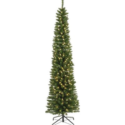 Novogodišnja jelka Everlands Pencil Pine sa lampicama 210 cm
